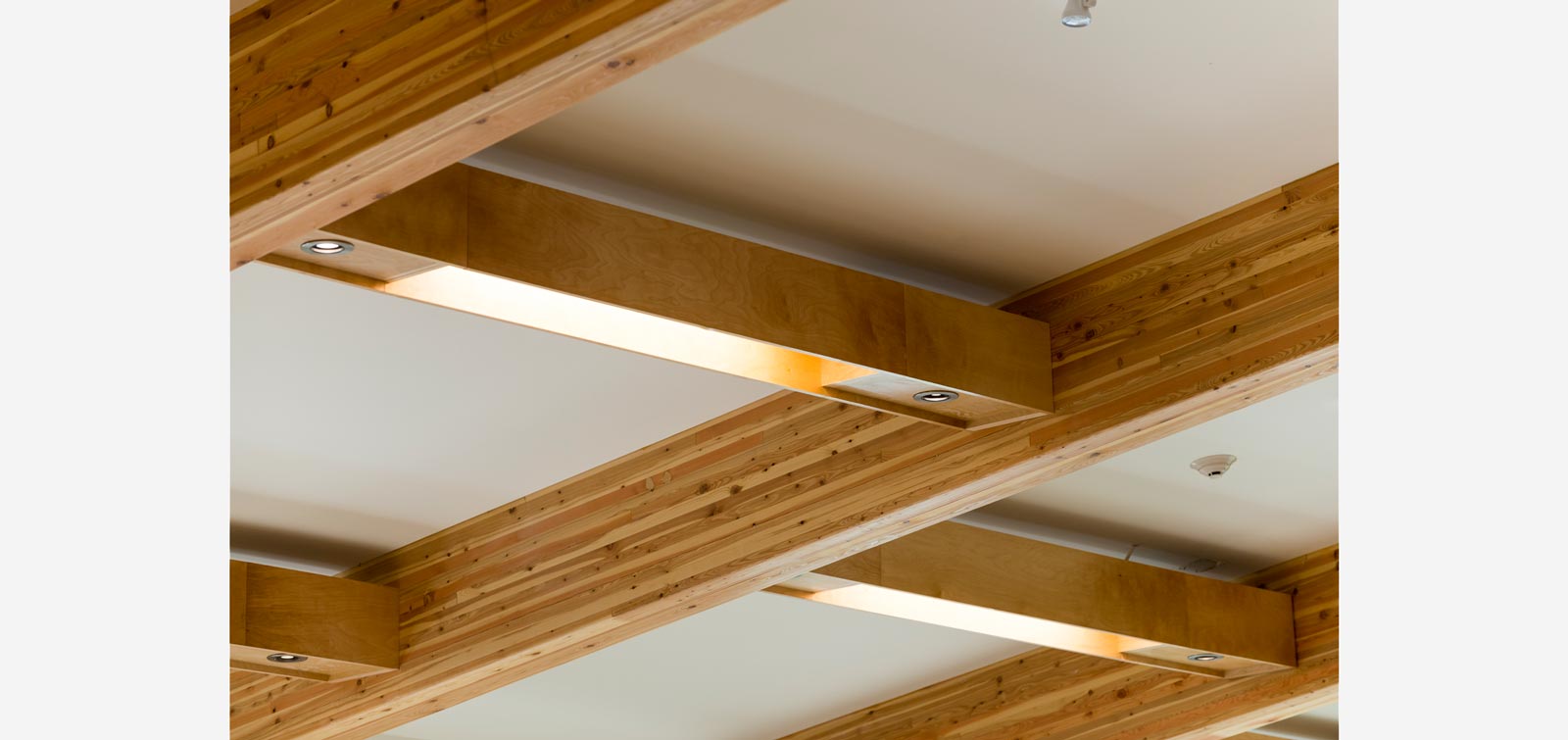 Wood Grain Ceiling